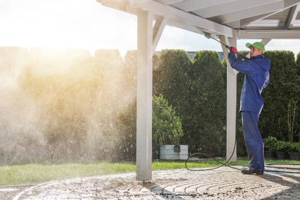 Best Spring Cleaning  in Lake Mohegan, NY